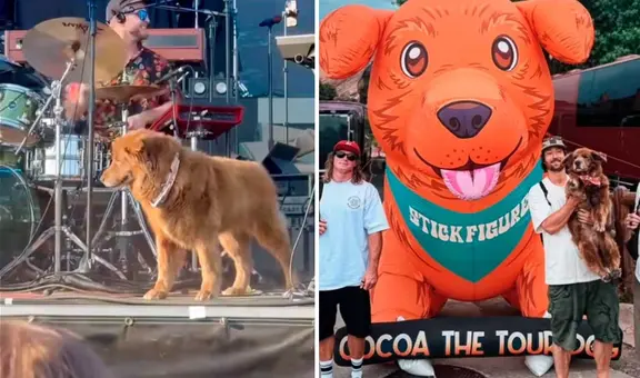 Perrito es adoptado por banda de reggae y ahora va de gira con ellos: "Es el integrante más famoso"
