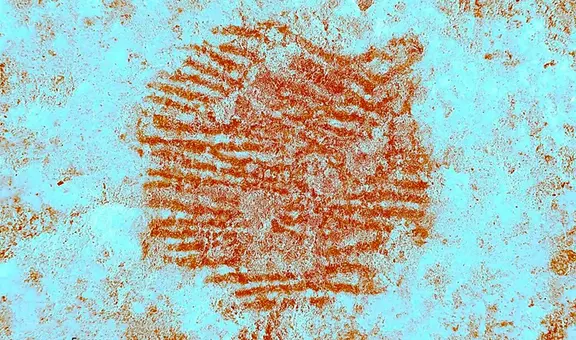 Los arqueólogos se encontraron el rastro de un dedo neandertal impreso intencionalmente en una piedra