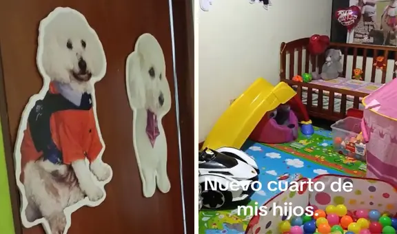 Peruano acondiciona cuarto exclusivo para sus perritos y desata furor en redes: “Tienen hasta cuna”