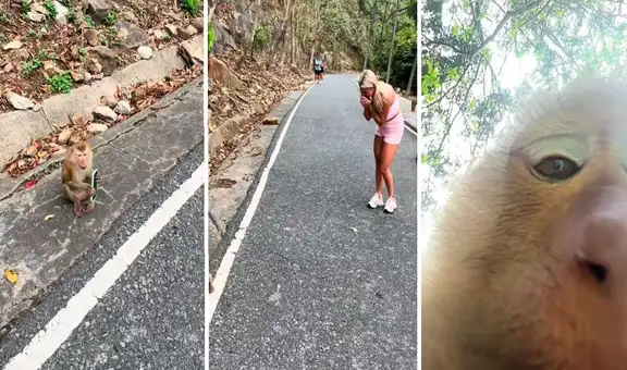 Travieso monito le roba el teléfono a una turista y graba un curioso video: "Bienvenidos a mi en vivo"