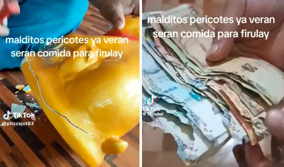 Peruano guarda su dinero en una alcancía, pero descubre que ratones se comieron sus billetes de S/100: “Mis ahorros, mi dinero”