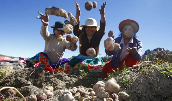 Día del Campesino 2025 en Perú: cuándo se celebra y cuál es su origen