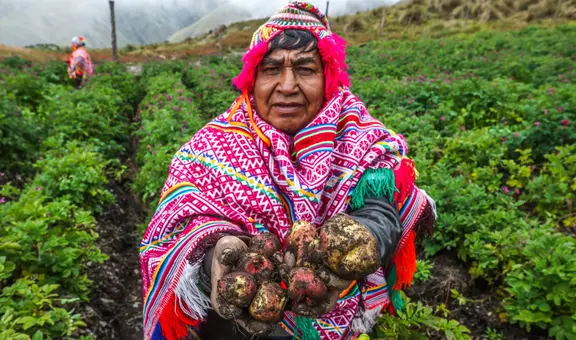 50 frases por el Día del Campesino 2025: los mejores saludos y mensajes para el 24 de junio