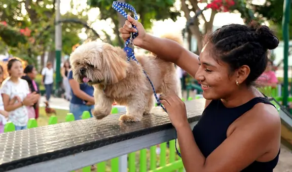 Lista de malls pet friendly en Lima: conoce los centros comerciales que aceptan mascotas