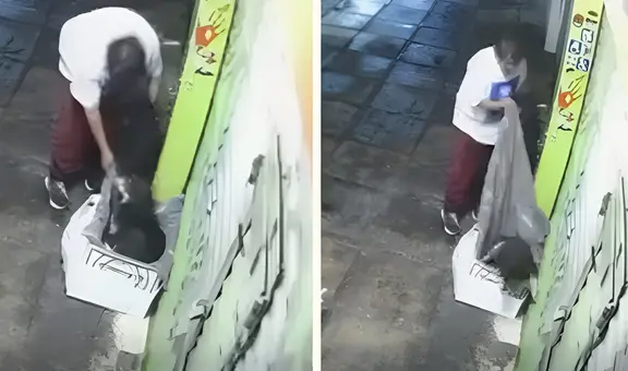 Hombre roba frazada a perrito callejero y desata ola de indignación en redes sociales: "El colmo"