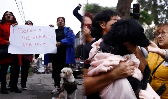 Denuncian presunto maltrato animal en albergue temporal en Comas