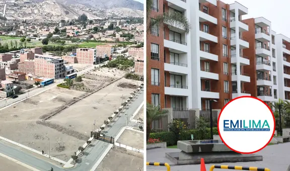 Subastarán terrenos en La Molina, SMP, Punta Hermosa y otros 4 distritos de Lima: están inscritos en registros públicos