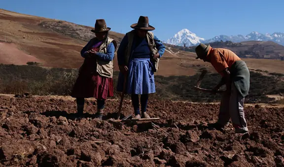 Más de 32 mil hectáreas de cultivo en riesgo por intensas heladas en la región de Arequipa
