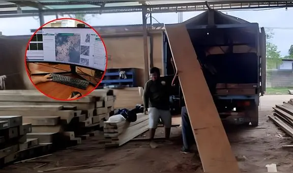 Un algoritmo de inteligencia artificial localizó camiones en la selva de Perú y terminó destapando la ruta de la madera ilegal