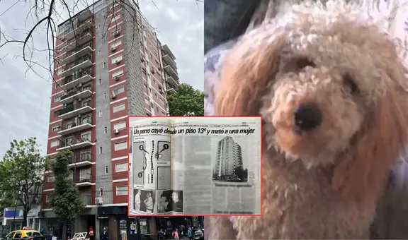 El perro caniche que cayó del piso 13 de un edificio en Argentina y provocó la muerte de tres personas