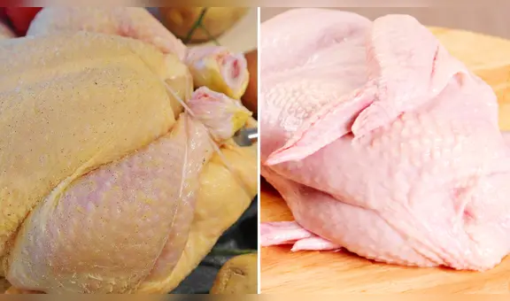 Pollo amarillo vs. pollo blanco: ¿cuál es mejor para tu salud y dieta diaria?