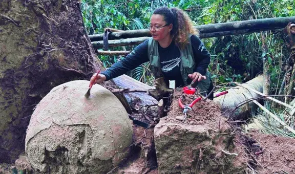 Caída de un árbol en el Amazonas deja al descubierto siete misteriosas esferas con restos humanos y de animales en su interior