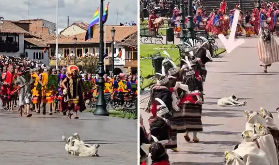 Perrito se queda dormido en pleno Inti Raymi y actores decidieron no molestarlo: “El favorito del inca”