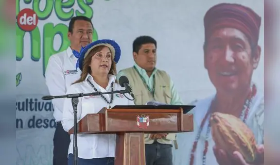 Denuncia constitucional contra Dina Boluarte por homicidio lleva medio año estancada