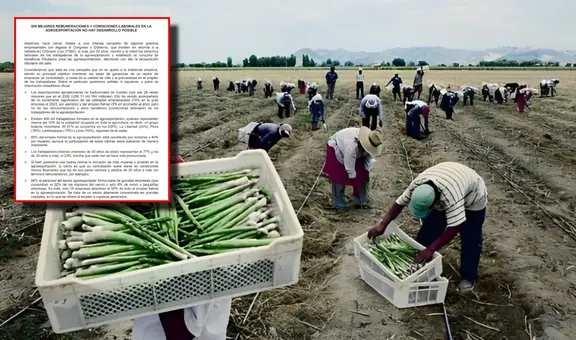 Economistas y exfuncionarios llaman a frenar Ley Chlimper 2.0: "Sin mejores remuneraciones y condiciones laborales no hay desarrollo"