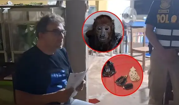 Cae español que líderaría red internacional de tráfico de animales silvestres: cazaba en comunidades nativas de la Amazonía peruana
