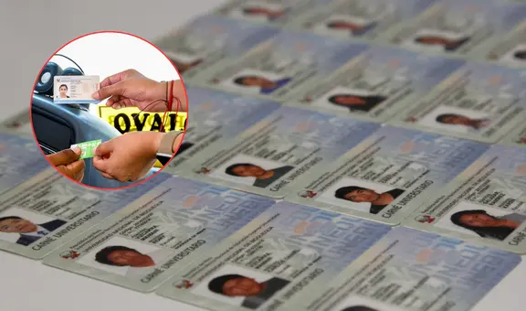 Carnet universitario: ¿aplica medio pasaje en temporada de vacaciones de instituto o universidad?