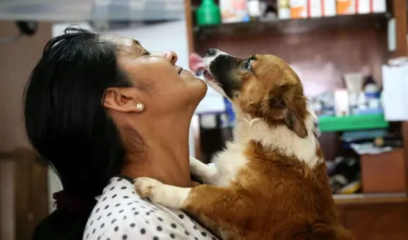 Perros son parte de la familia en Perú: INEI revela que más del 50 % de hogares conviven con al menos uno