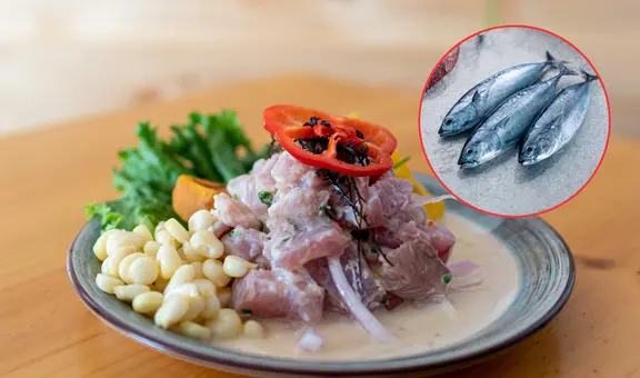 Día del Ceviche: descubre cómo el ceviche con pescado azul mejora la nutrición sin perder su esencia