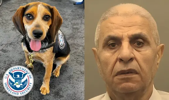 Hombre egipcio es deportado tras patear a perro policía de CBP: can había olfateado productos prohibidos en su maleta