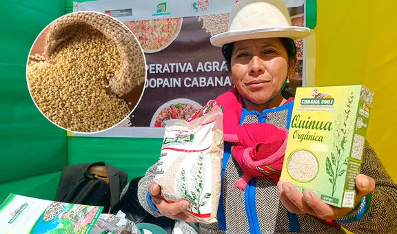 Disminuye producción de quinua en Puno por cambio climático: bajó más del 50%