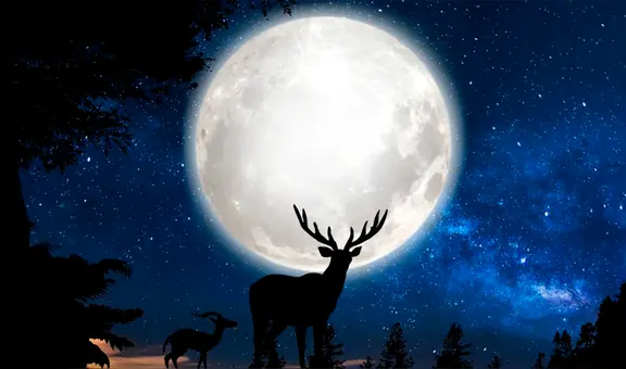 Calendario lunar de julio: cuándo brillará la luna llena y cuáles serán las fases lunares en este mes