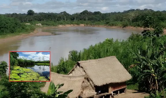 'Nueva York', el curioso nombre de la nueva área protegida en Perú que tiene más de 3.000 hectáreas de bosque