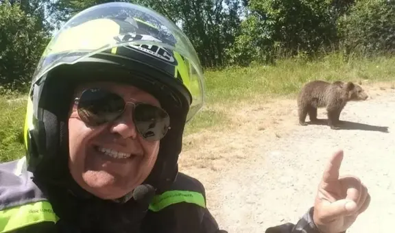 Turista muere tras ser atacado por oso pardo en Rumanía: se había tomado selfie con uno de sus cachorros