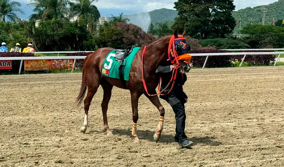 Resultados del 5y6 del 6 de julio en el Hipódromo La Rinconada: caballos ganadores y órdenes de llegada de todas las carreras