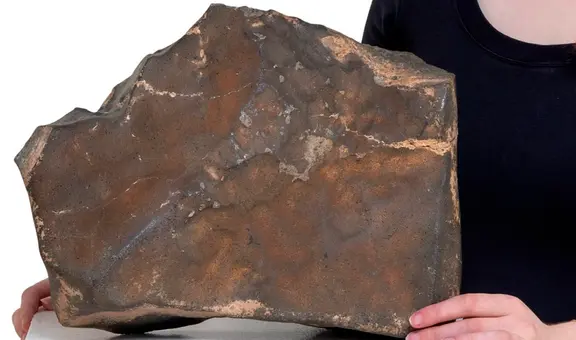 Un trozo de la historia de Marte y con gran valor científico está a punto de venderse por US$ 4 millones