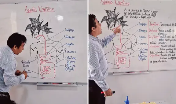 Profesor dibuja a personaje de Dragon Ball para enseñar el sistema digestivo y redes estallan: "Están viendo de dónde se genera el ki"