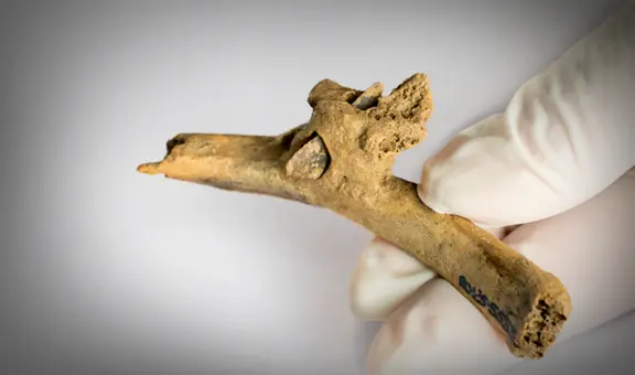 Impactante hallazgo de violencia prehistórica en España: encuentran una flecha clavada en costilla humana hace 4.000 años