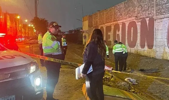 Adulto mayor muere arrollado por tren en el Callao: se habría quedado dormido sobre rieles