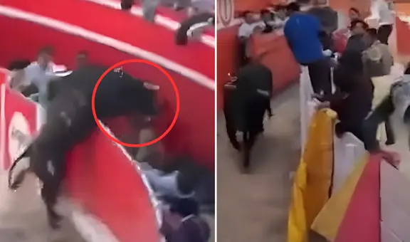 Caos en fiesta costumbrista: toro se escapa de ruedo y desata el pánico entre asistentes en Cajamarca