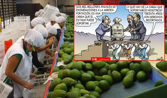 Beneficios de la Ley Chlimper 2.0: Carlincatura expone cómo las agroexportadoras celebran mientras el Estado pierde millones de soles