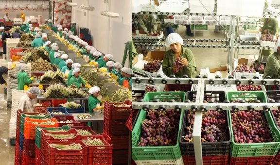 Agroexportaciones regionales rompen récord: suman US$3.248 millones y los orgánicos pisan fuerte