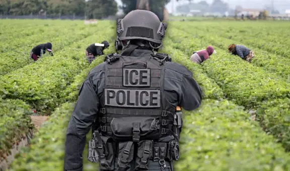 Mala noticia para inmigrantes en USA: alcalde de esta ciudad ruega en español que "se queden en casa" ante redadas agresivas de ICE