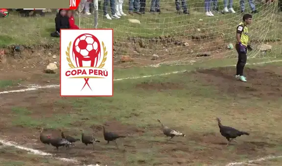 Aves interrumpen pleno partido de Copa Perú y generan caos en el campo de juego: ''Pavos para navidad''