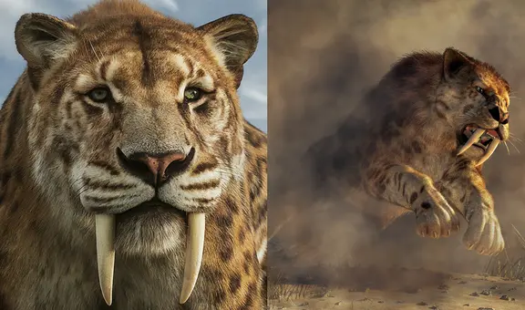 Esta es la verdadera causa de la extinción del tigre diente de sable, según científicos de Brasil: no fue obra del ser humano