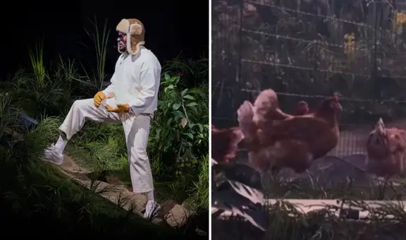 PETA denunció a Bad Bunny por usar gallinas vivas en sus conciertos de Puerto Rico: "Una pesadilla para los animales"