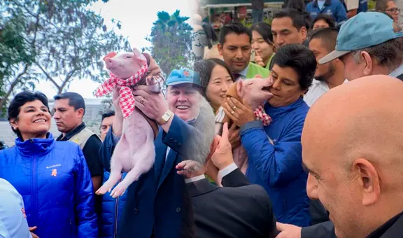 'Porky Jr.', el cerdito de López Aliaga, mordió a la congresista Norma Yarrow durante la presentación de trenes