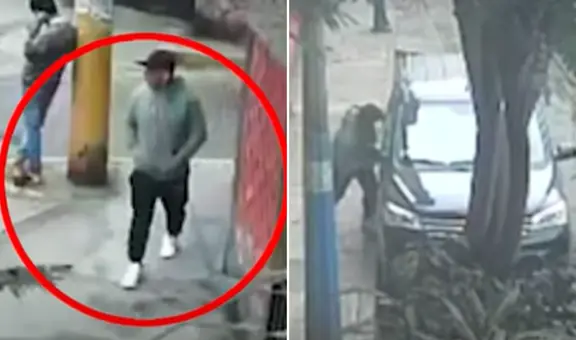 Roban camioneta de veterinaria con un perrito adentro justo cuando iba a ser entregado a su dueño en El Agustino