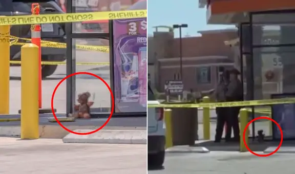 Hallan oso de peluche con falsa piel humana en un paradero de bus en EE.UU. y desata caos: era una obra artística de terror