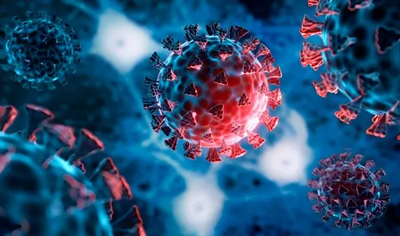 La OMS pone bajo vigilancia a la nueva variante del COVID conocida como “Frankenstein” detectada en Brasil