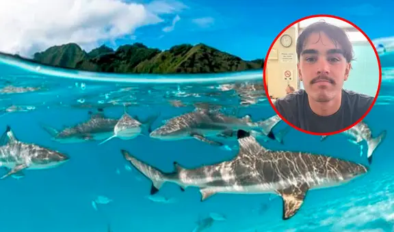 Joven australiano desapareció mientras surfeaba y terminó varado en una isla desierta a 13 km rodeado de tiburones: "Pensé que no iba a volver"