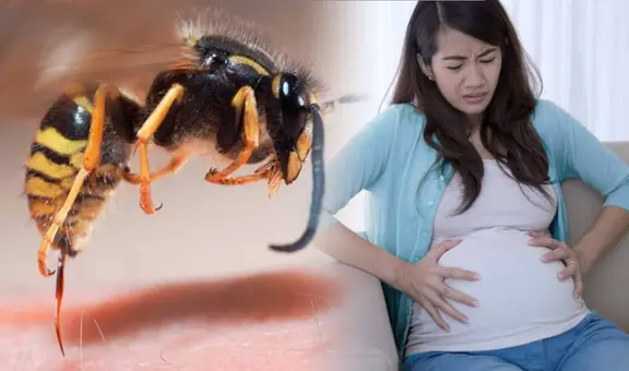 Mujer pierde al bebé que gestaba tras ser picada por una abeja y sufrir una reacción alérgica grave en España