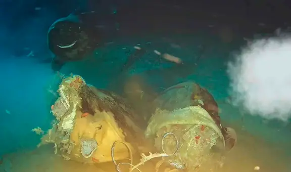 Científicos arrojaron una vaca a 1.600 metros de profundidad en el Mar de China y en la oscuridad aparecieron unos visitantes gigantescos