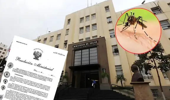MINSA implementa norma técnica nacional para reforzar control del dengue, chikungunya y otras enfermedades transmitidas por mosquitos