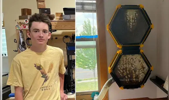 Niño de 13 años crea una colmena 3D en su habitación con más de 40.000 abejas