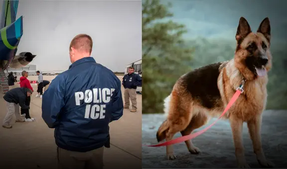 ICE obliga a familia de inmigrantes en Los Ángeles a autodeportarse de EEUU: tuvieron que dejar su perro en refugio
